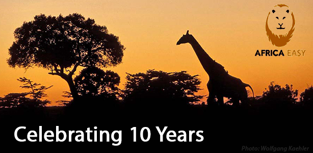 Blog-giraffe-10 year