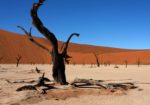 Namibia 'Our Way' Fly & Drive Safari with Nadia Eckhardt