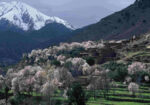 MOROCCO WITH HIGH ATLAS MOUNTAINS LED BY NADIA ECKHARDT