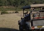 BOTSWANA SAFARI IN STYLE