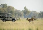 EXCLUSIVE SOUTH AFRICA & BOTSWANA LUXURY SAFARI